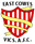 East Cowes Victoria Athletic