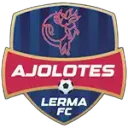 Ajolotes Lerma FC