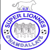 Super Lionnes (nữ)
