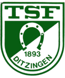 TSF Ditzingen Youth