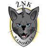 ZNK Radomlje (nữ)