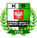 Orzel Bialy Piekary Slaskie