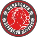 Deportivo Metepec