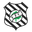 Figueirense SC Youth