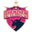 Shenzhen FC(1994-2024)