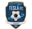 Tesla FC