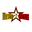 North Eastern MetroStars Reserve