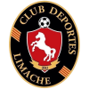 Deportes Limache (nữ)