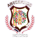 Artesanos Metepec FC