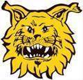 Ilves Tampere (nữ)