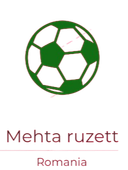 Mehta ruzett