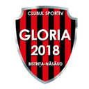 CS Gloria 2018 Bistrita Nasaud