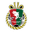 Kochi United