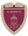 Al Wehda U19