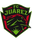 Juarez FC U21