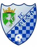 Flacara Falesti