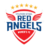 Incheon Hyundai Steel Red Angels (nữ)