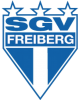 SGV Freiberg Youth
