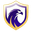 Falcon FC SE Youth